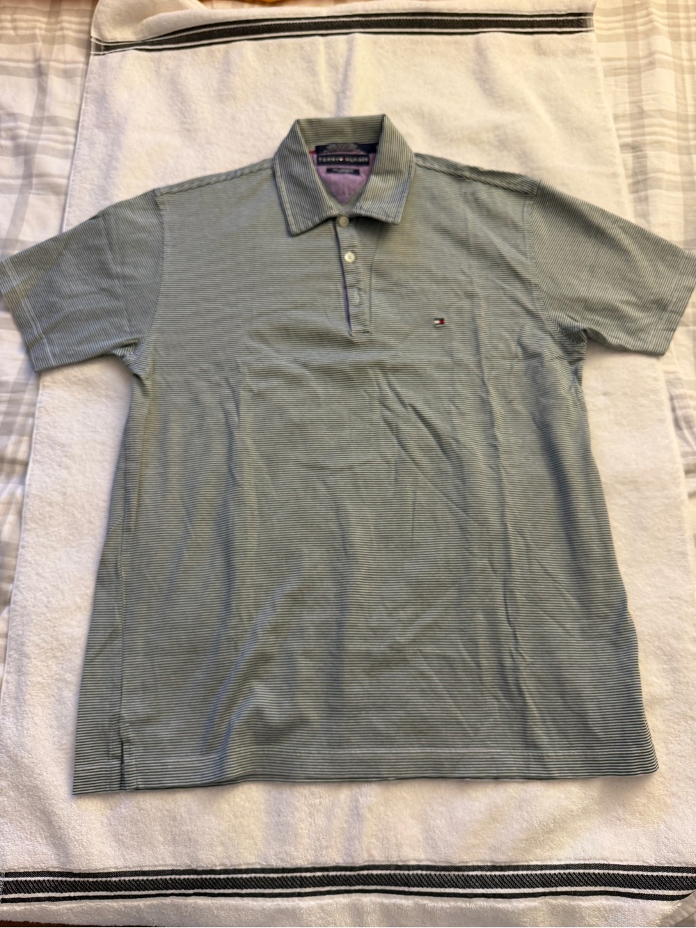 Tommy Hilfiger Men's Subtle Green Striped Polo
